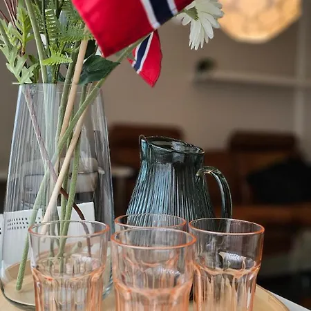 Apartment Dreggsalmenning 20