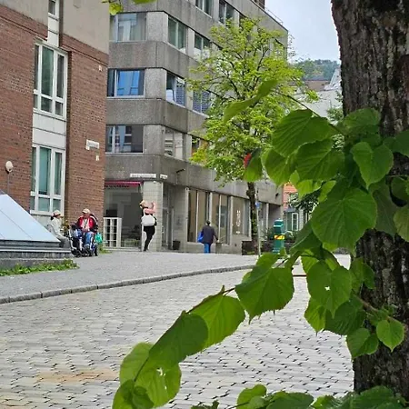 Dreggsalmenning 20 Appartamento